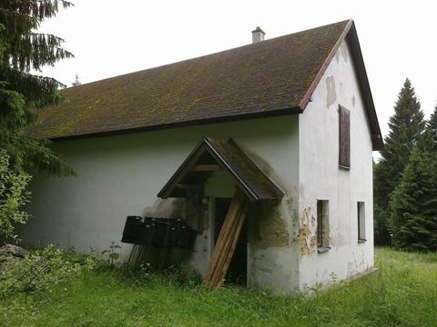 Foto 42